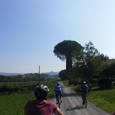 Podere Ripi Volterra Exteriör bild