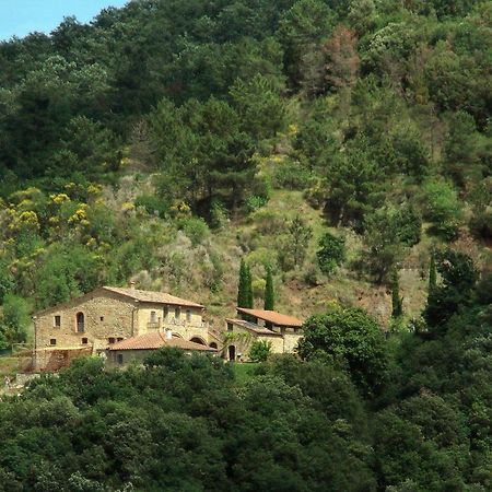 Podere Ripi Volterra Exteriör bild