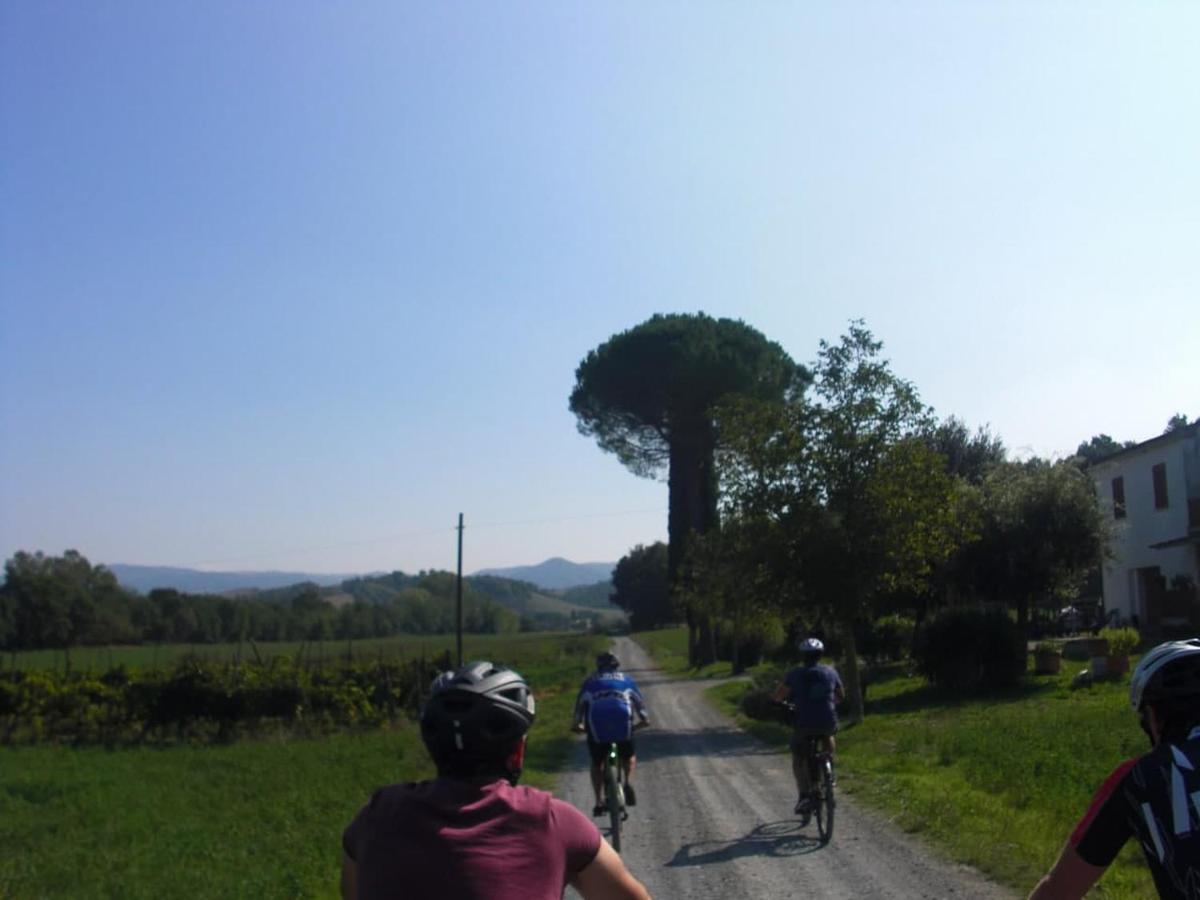 Podere Ripi Volterra Exteriör bild