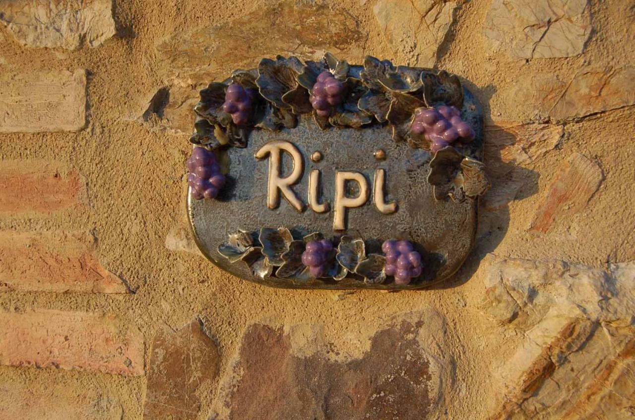 Podere Ripi Volterra Exteriör bild