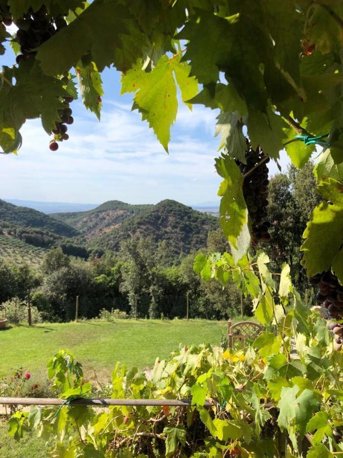 Podere Ripi Volterra Exteriör bild